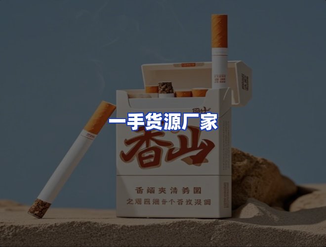 专业团队